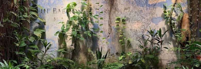 The Baboon House