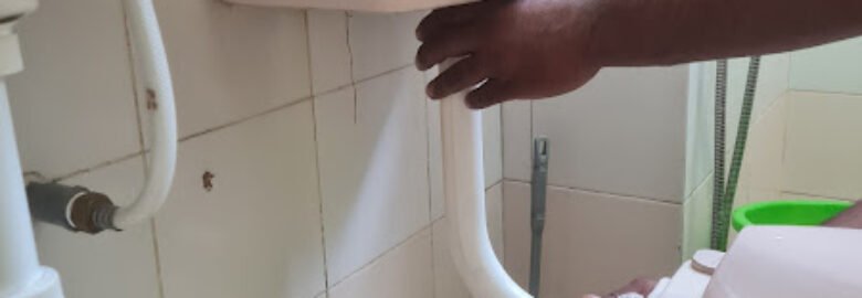 PLUMBING SERVICE SAINIE