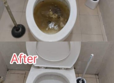 Mr. Lee Plumbing & Handyman Services