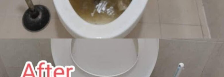 Mr. Lee Plumbing & Handyman Services