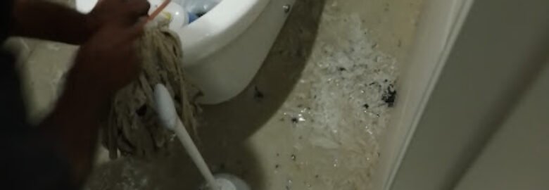 L&M plumbing & Electric services (June Deco)