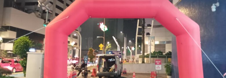 VMS Balloons & Canopy