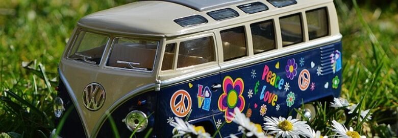 School Transport – Private Car