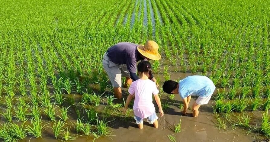 适耕庄 Sekinchan