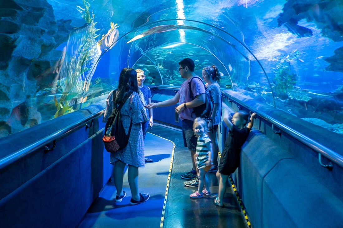 Aquaria KLCC 水族馆