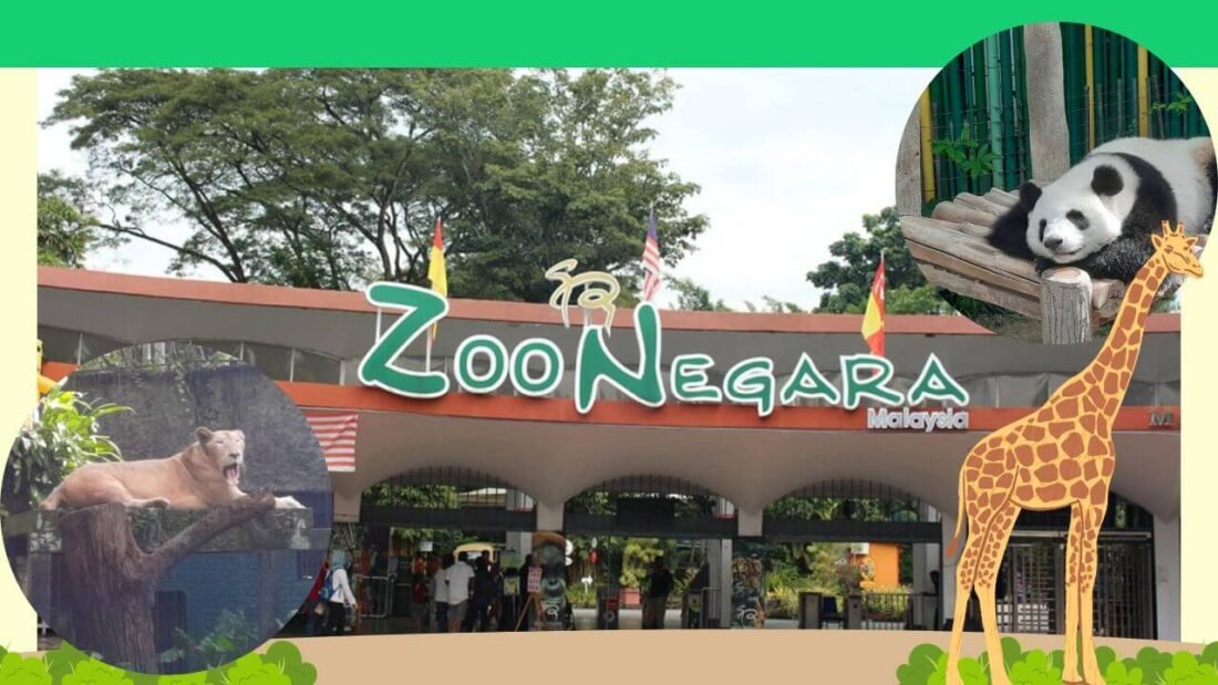 Zoo Negara Malaysia 国家动物园