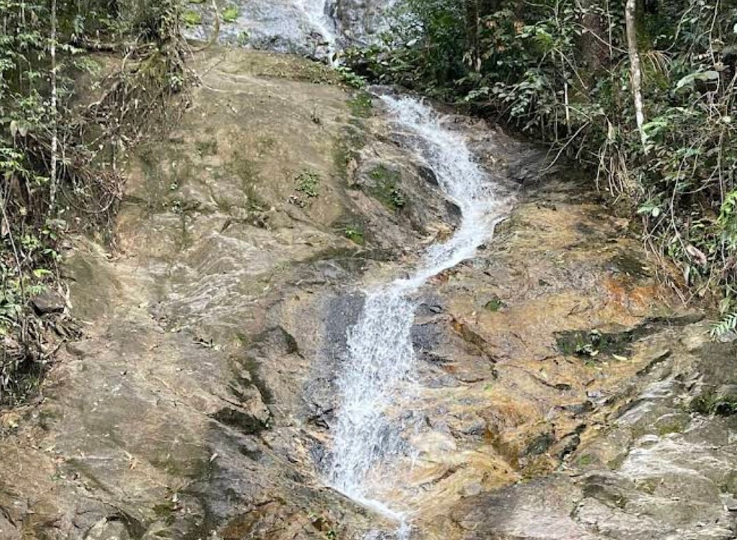 Bukit Larut Maxwell Hill 太平 麦克斯韦山