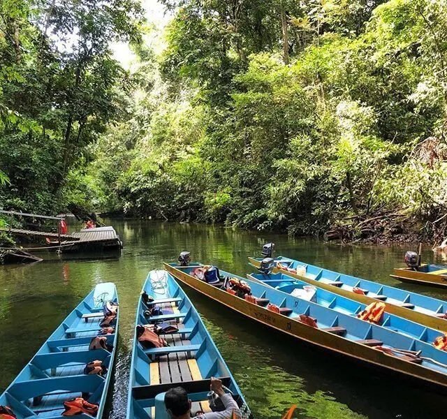 Mulu caves Sarawak deer cave clearance cave