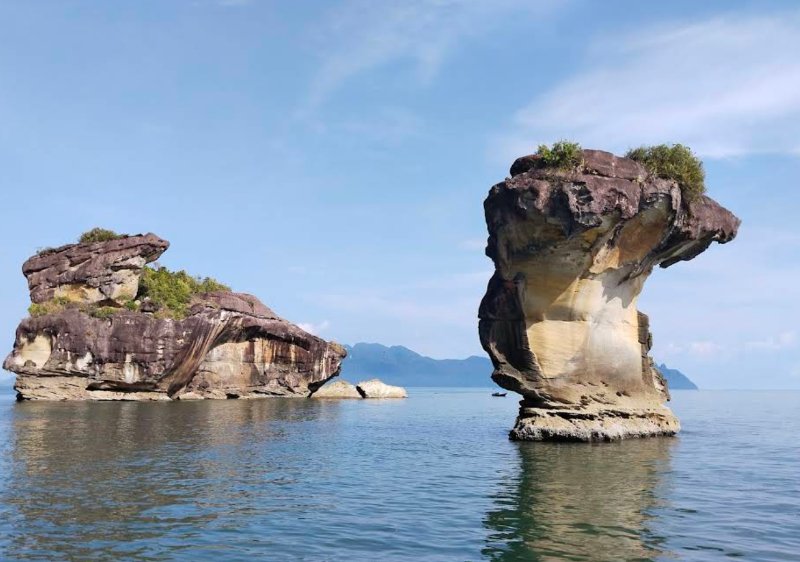Bako National Park proboscis monkey wildlife Sarawak