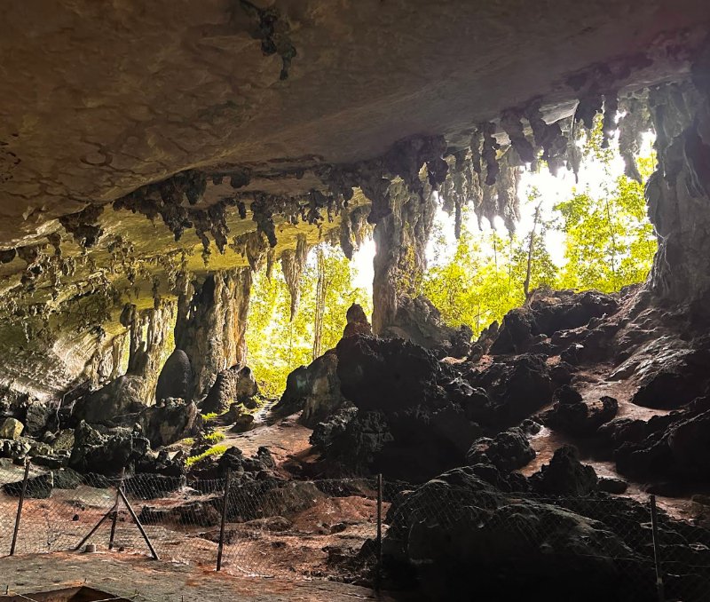 Niah Caves National Park Sarawak caves walkway