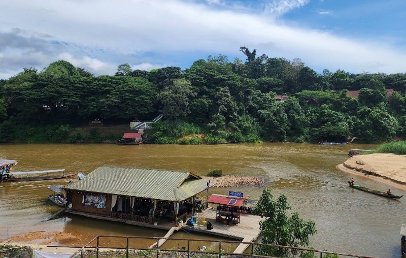Taman Negara rainforest trail boardwalk