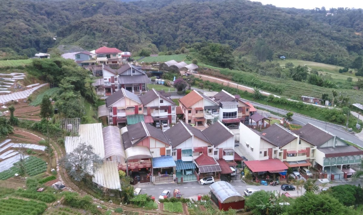Cameron Highlands 行程建议