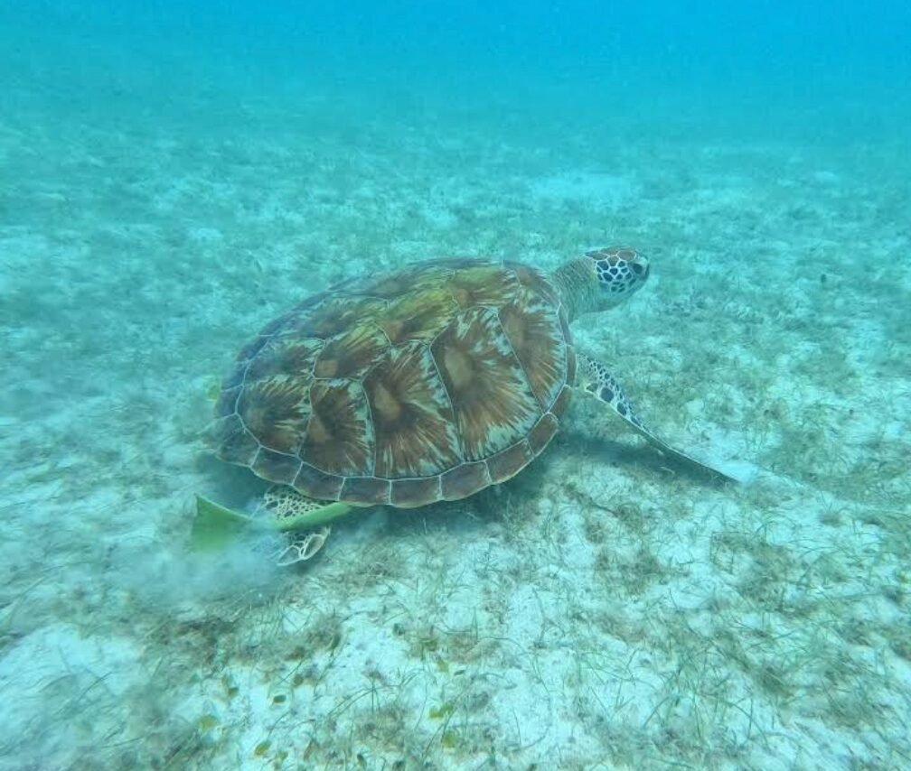 Perhentian Island Malaysia