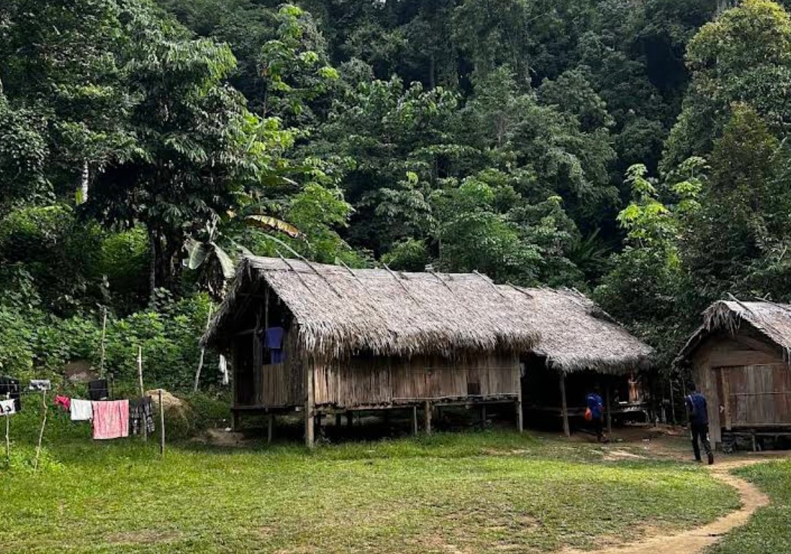 Taman Negara · Kuala Tahan 大汉国家公园