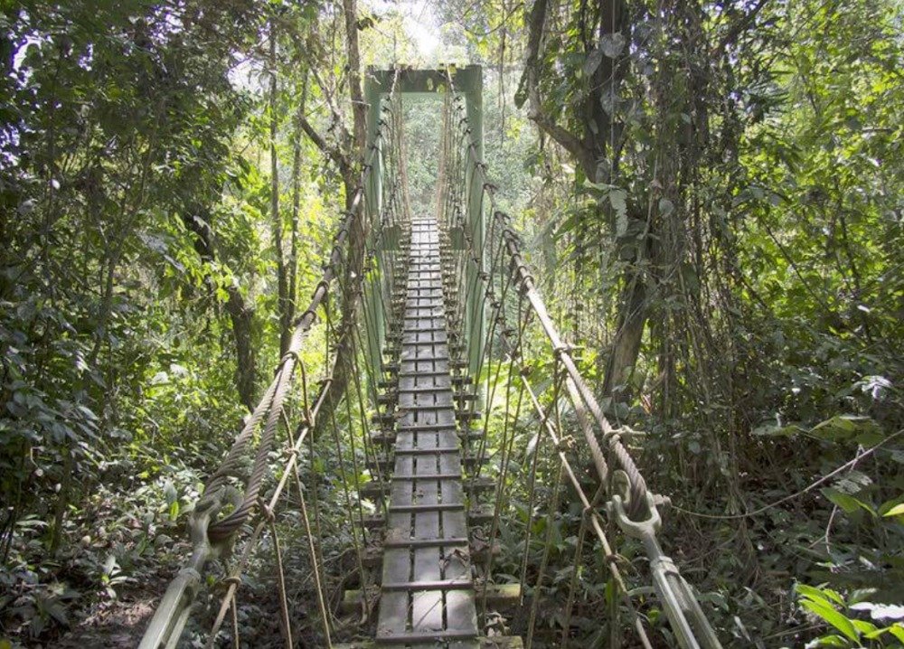 Gunung Mulu National Park 姆鲁国家公园 UNESCO 洞穴与雨林