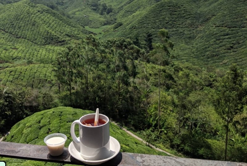 Cameron Highlands Tea Souvenir