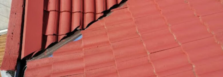 MSI PLUMBER , ROOF SPECIALIST AND HOUSE RENOVATION