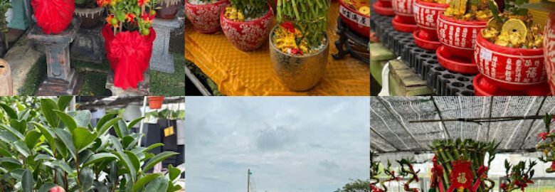 Chea Ngai Hoong Nursery Sdn Bhd