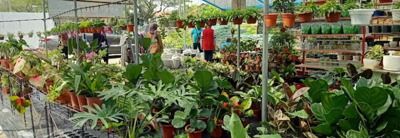 Elmina Nursery & Gardening