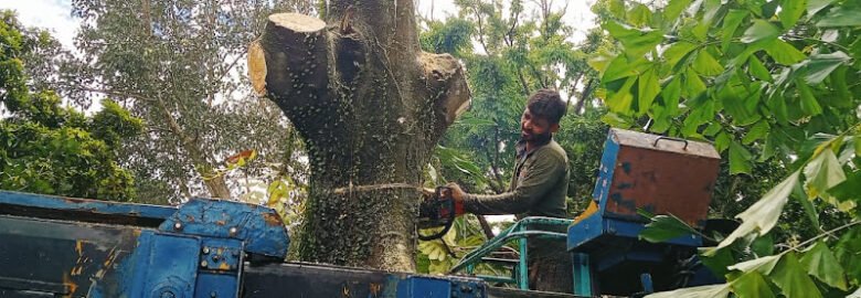Gardening Landscape Specialist Malaysia (GLSM Enterprise)