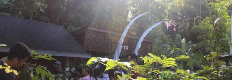 Bangsar Nursery Free Tree Society Kuala Lumpur