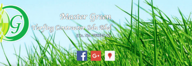 Master Green Turfing Contractor