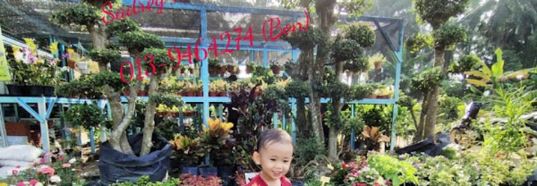 Sadrey Nursery & Landscaping