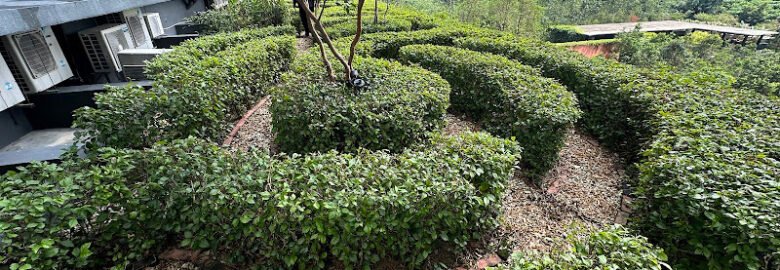 Setiamas landscape Services