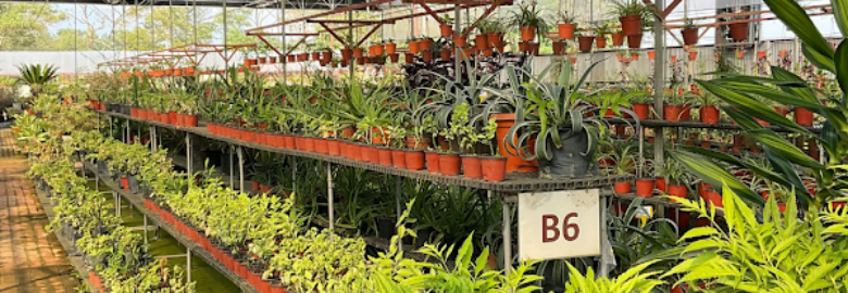 Za Nursery & Landscaping Malaysia (Selangor)