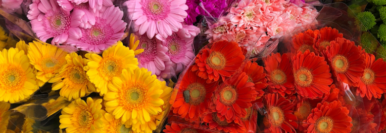 Floristika.com.my Wholesale Florist Malaysia