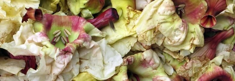 WH Floral Trading Sdn Bhd Seri Kembangan