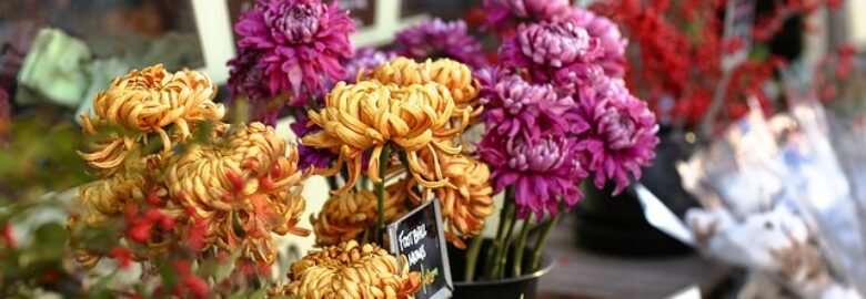 Sunshine Hampers & Florist (J) Sdn. Bhd.